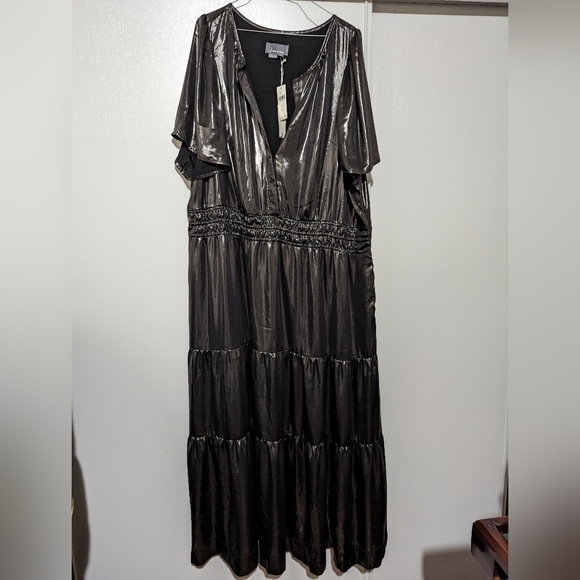 The Sommerset Maxi Dress: Shiny Edition - Picture 6 of 8